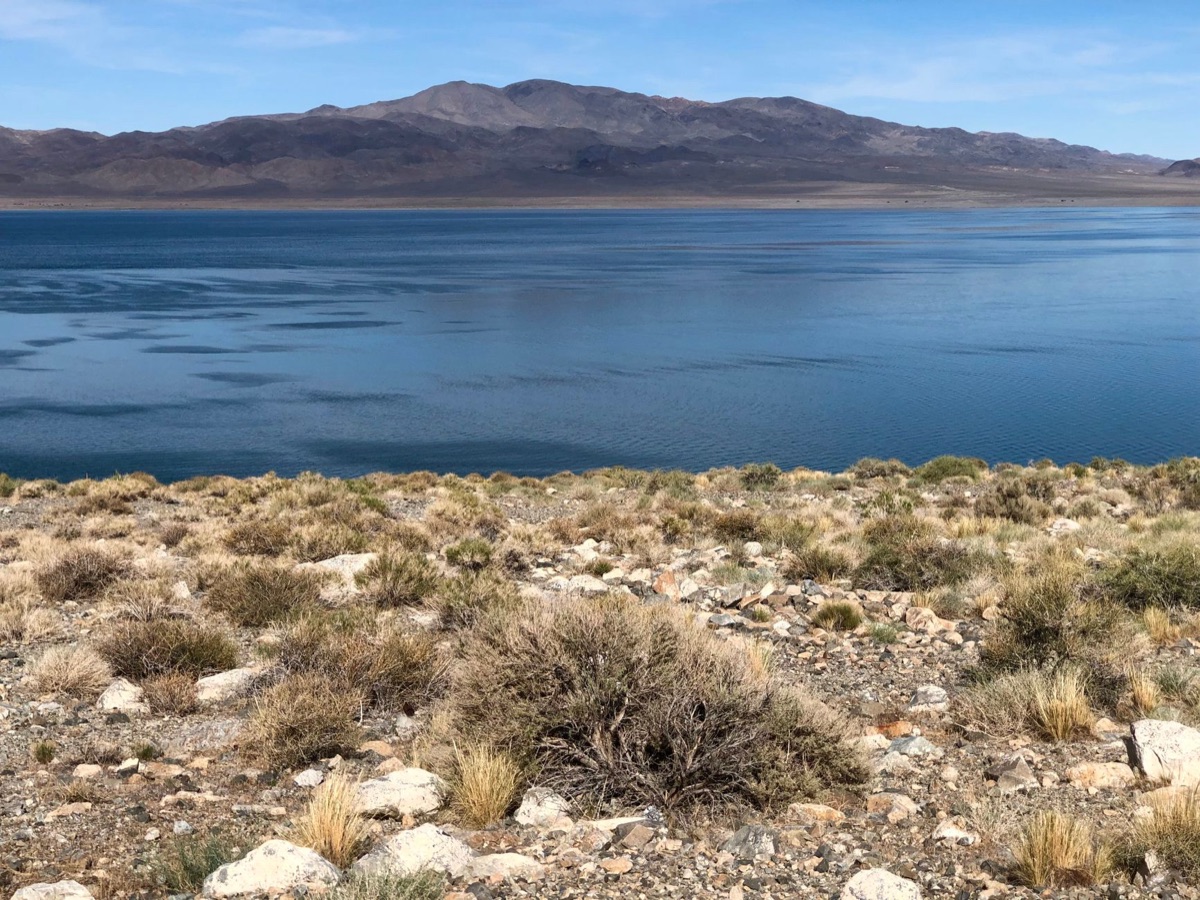 ネバダ州エリア51周辺の広大な砂漠地帯
