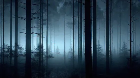 The Rendlesham Forest Incident of 1980: Britain's Roswell