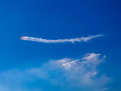 官方調查小組究竟是如何啟動的: 資料不足，該如何解決分類難題？